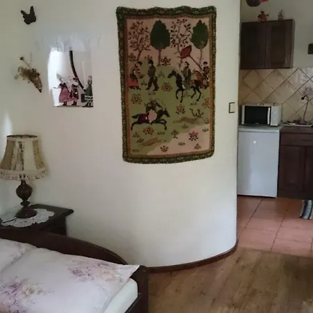 Lesna Polana Apartment Augustow Exterior photo