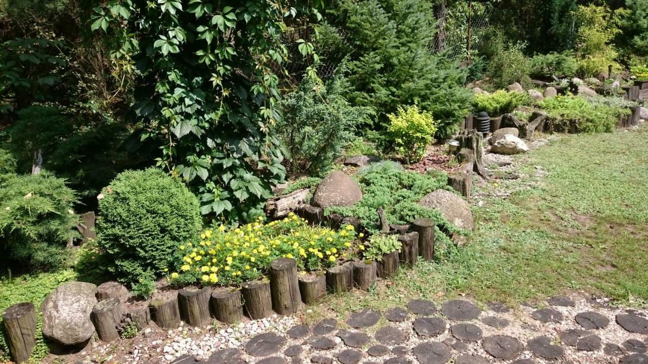 Lesna Polana Homestay *