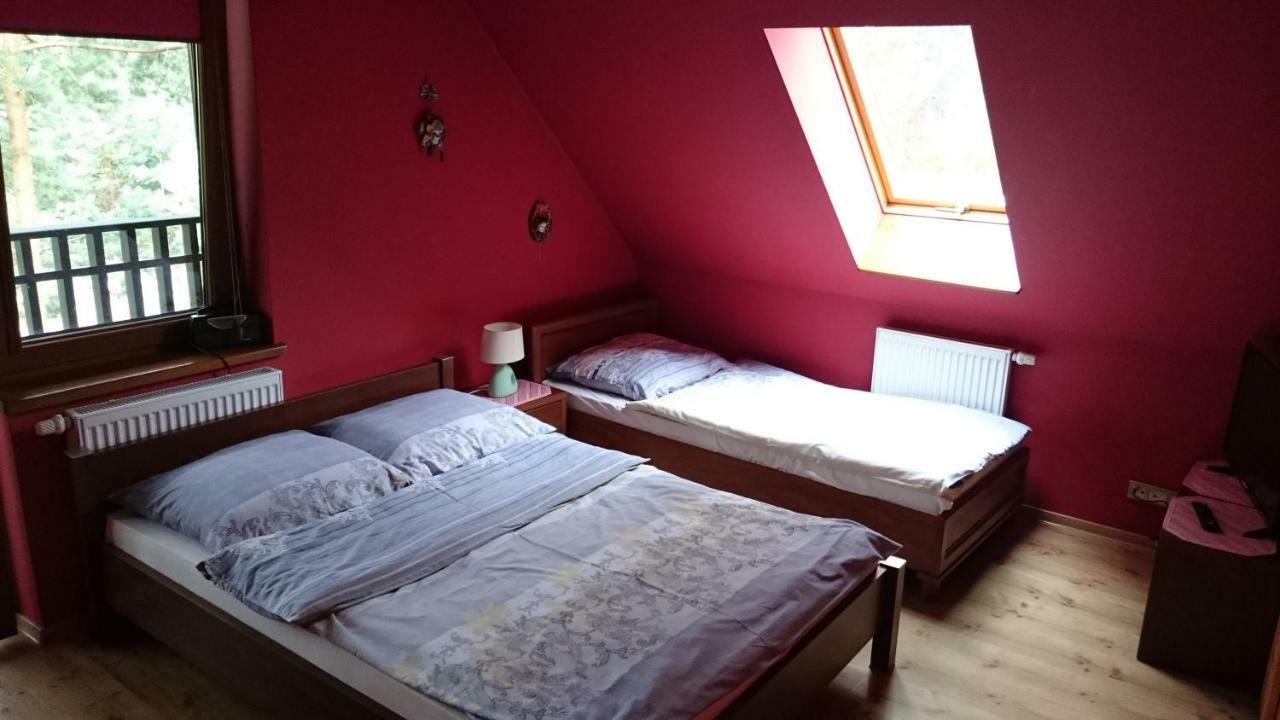 Lesna Polana Homestay *